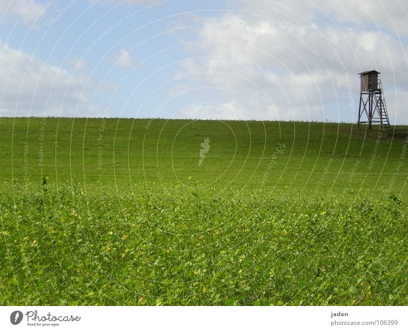 Tower h8 Colour photo Exterior shot Copy Space bottom Calm Hunting Far-off places Ladder Landscape Sky Horizon Summer Meadow Field Hunting Blind Wild animal
