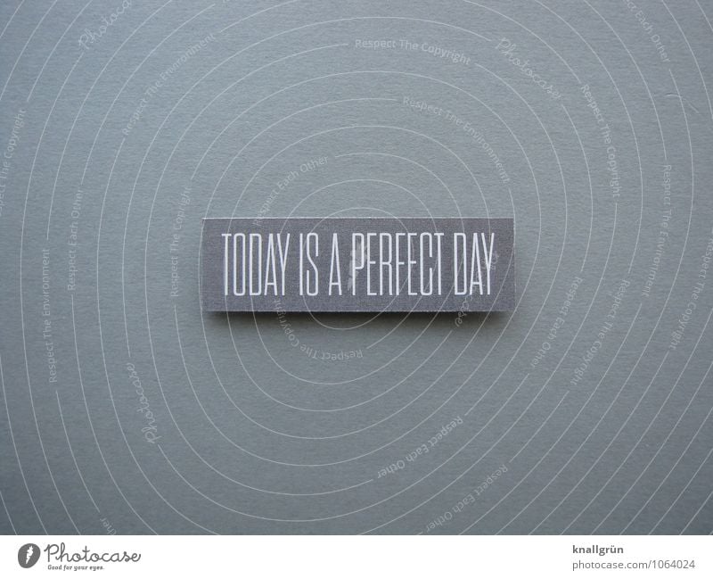TODAY IS A PERFECT DAY Characters Signs and labeling Communicate Sharp-edged Positive Gray White Emotions Moody Contentment Joie de vivre (Vitality) Enthusiasm