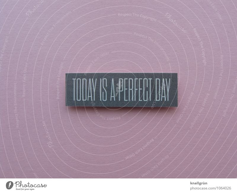 TODAY IS A PERFECT DAY Characters Signs and labeling Communicate Sharp-edged Gray Pink White Emotions Joy Happy Contentment Joie de vivre (Vitality) Optimism