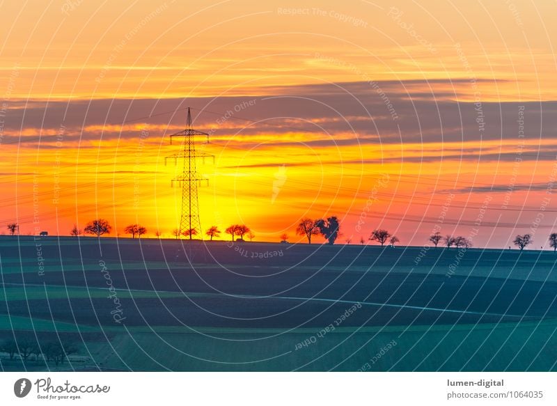 Landscape with power pole Energy industry Clouds Horizon Sunrise Sunset Tree Field Green Red Row of trees golden Orange Lighting Electricity pylon Exterior shot