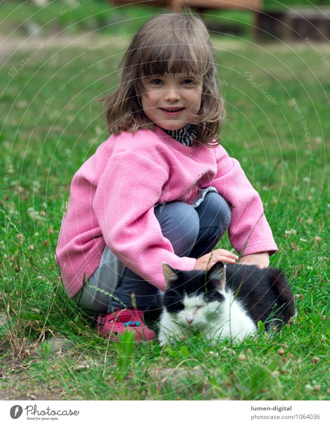 Child with cat Joy Beautiful Playing Children's game Garden Girl 3 - 8 years Infancy Grass Meadow Blonde Pet Cat Touch Laughter Looking Happiness Funny Natural