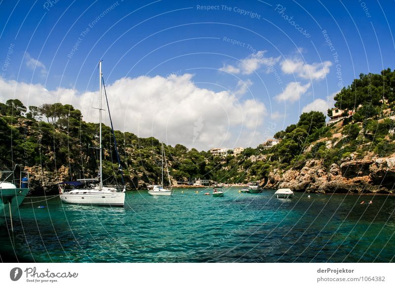 Mallorca from its beautiful side 53 - a short time anchoring Vacation & Travel Tourism Trip Cruise Environment Nature Landscape Plant Animal Elements Summer