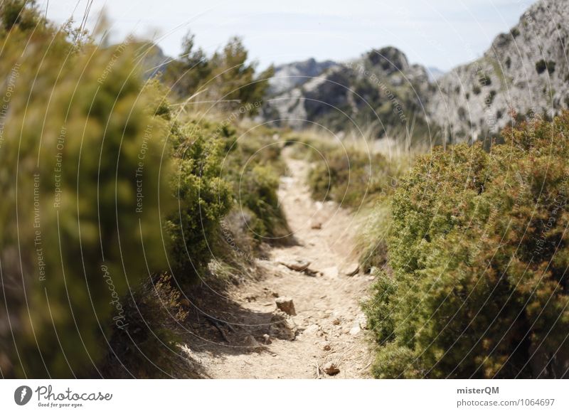 Spanish paths. Environment Nature Landscape Climate Beautiful weather Adventure Esthetic Lanes & trails Majorca Hiking Green Stony Spain Colour photo