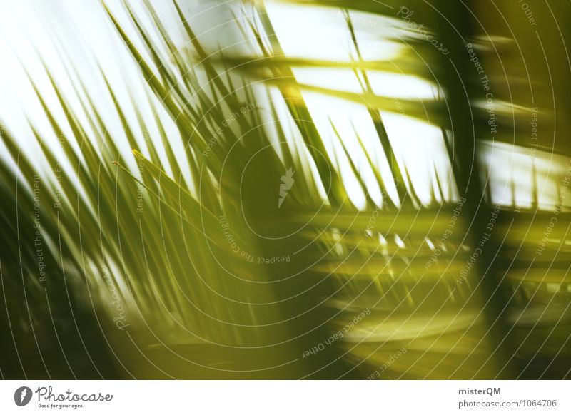 summer wind. Art Esthetic Contentment Idyll Peaceful Green Palm tree Palm frond Palm roof Summer vacation Vacation mood Wellness Calm Sun Caribbean Colour photo