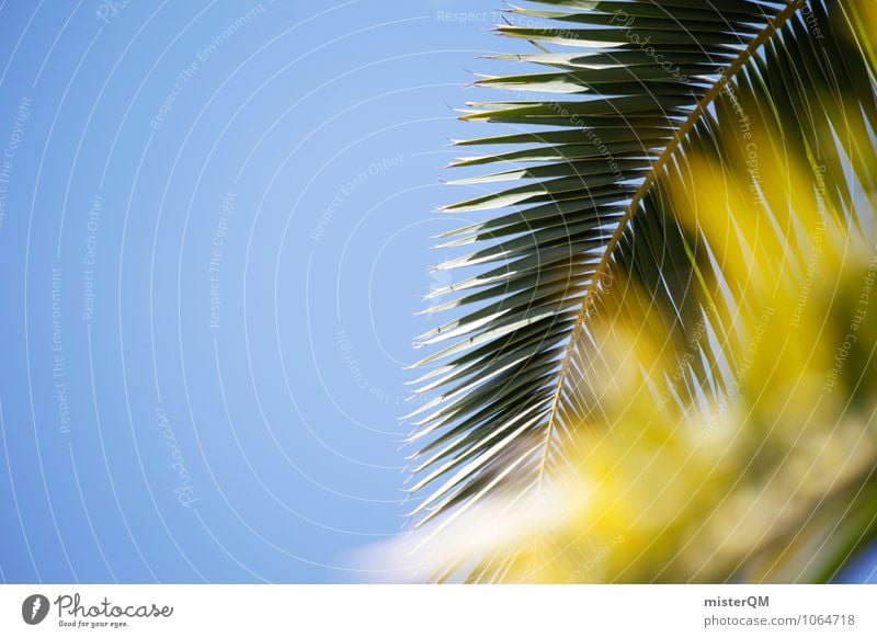 Green fronds. Art Environment Nature Esthetic Contentment Vacation & Travel Vacation photo Vacation destination Vacation mood Palm tree Palm frond