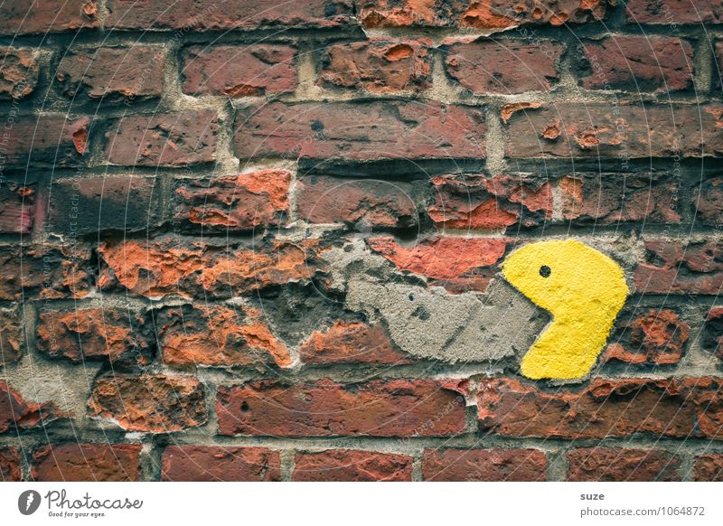 mule Nutrition Wall (barrier) Wall (building) Facade To feed To talk Scream Old Authentic Broken Small Funny Cute Yellow Communicate Brick wall