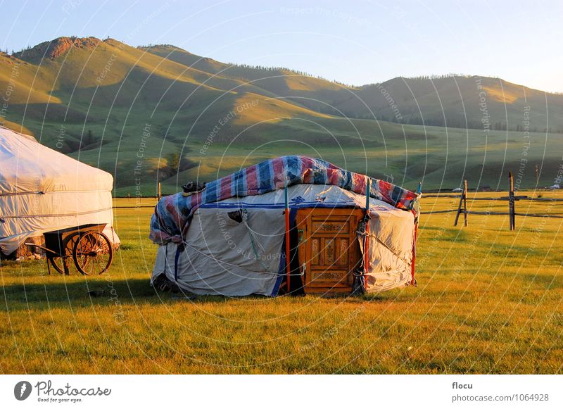 Mongolian Yurt Ger tent Lifestyle Design Vacation & Travel Summer Human being Nature Adventure Horizon tourism traditional Asia nobody mountains yurt ger