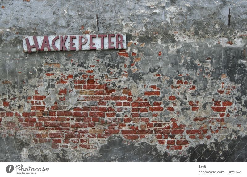 Peter Hacke - Master butcher Profession Craftsperson Gastronomy Art Small Town Deserted House (Residential Structure) Factory Ruin Manmade structures Building