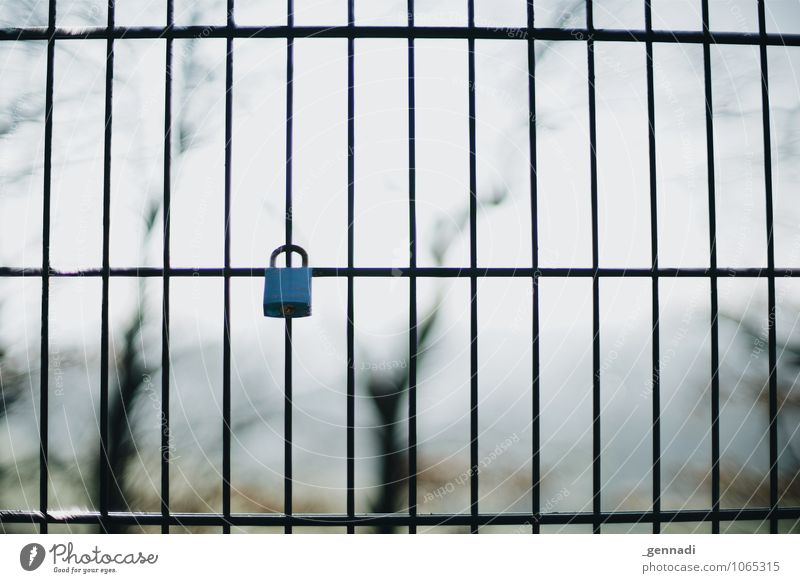 First Lock Metal Firm Closed Love Sign Fence Hang Preservation of evidence Colour photo Exterior shot Deserted Copy Space right Morning Shallow depth of field