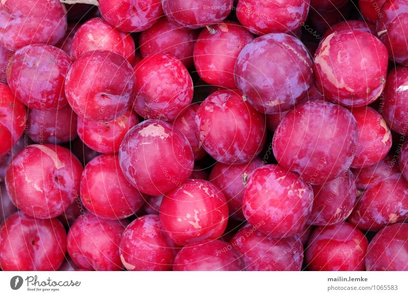 plum Fruit Plum Fresh Healthy Above Sweet Multicoloured Violet Red Colour photo Exterior shot Close-up Detail Macro (Extreme close-up) Structures and shapes