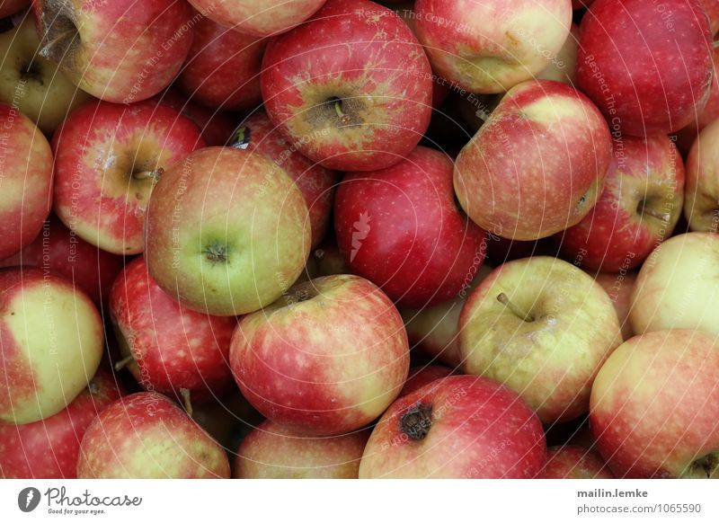 apple Fruit Apple Fresh Healthy Delicious Beautiful Yellow Red Markets Colour photo Multicoloured Exterior shot Close-up Shallow depth of field