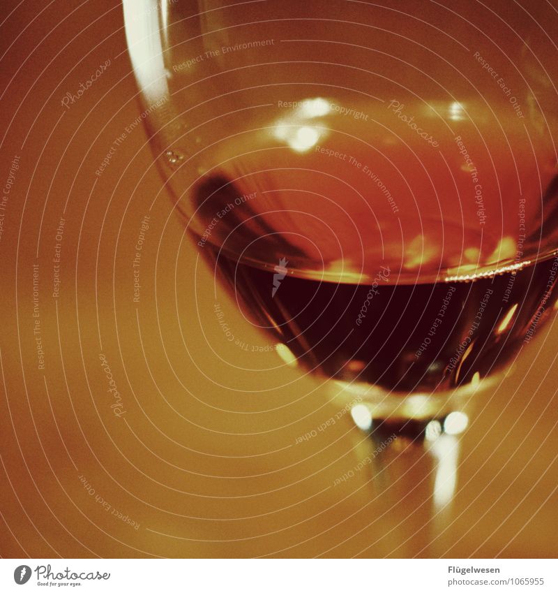 Cry! Wine Vine Drinking Alcoholic drinks Wine glass Vineyard Alcoholism Beverage To enjoy Glass