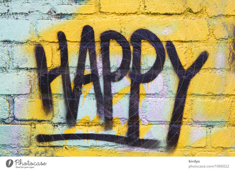 Happy , writing as graffiti on a brick wall happy Graffiti Youth culture fortunate Word Subculture full-frame image Brick wall Characters Authentic Friendliness