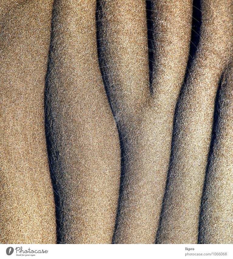abstract texture of a dry Vacation & Travel Tourism Trip Summer Beach Island Environment Nature Elements Earth Sand Climate Rock Coast River Desert Microwave