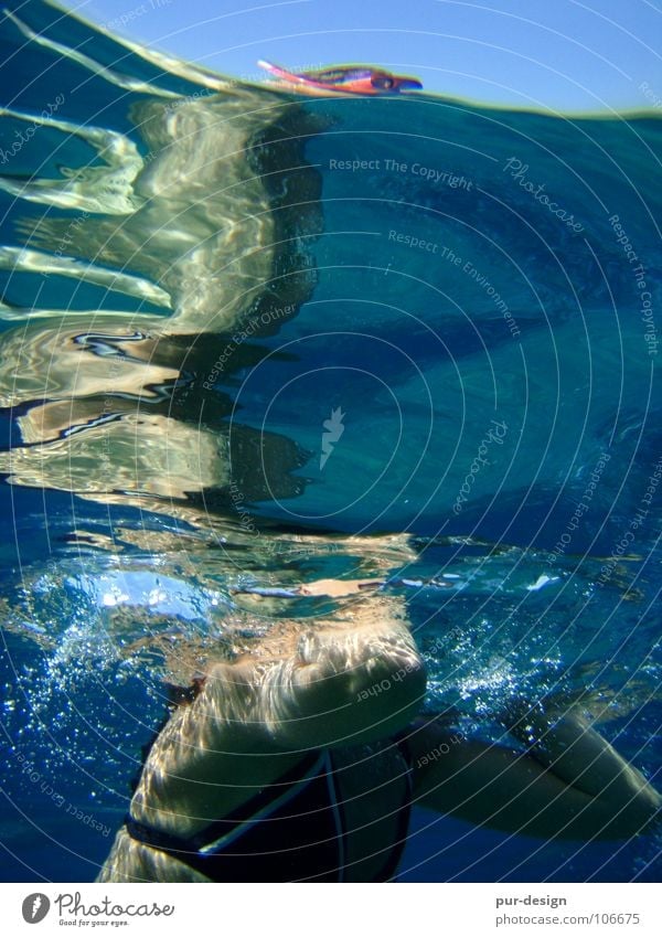 Underwater2 Ocean Waves Snorkeling Dive Sea water Crete Vacation & Travel Paleochora Summer Water Underwater photo Blue Swimming & Bathing