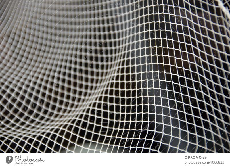Going online 2 Fisherman Fishery Net Catch Esthetic Symmetry Abstract Fishing net Linearity Curve oscillate
Background neutral Colour photo Deserted