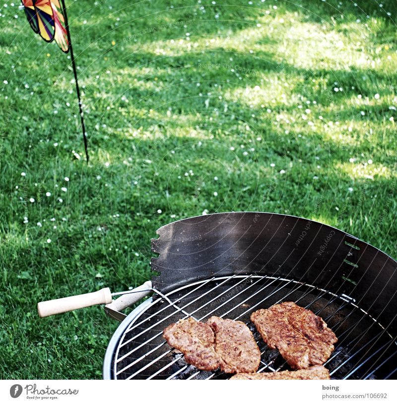 have a barbecue Barbecue (apparatus) Barbecue (event) Bratwurst Small sausage Steak Picnic Summer Vacation & Travel Leisure and hobbies Sunday Public Holiday