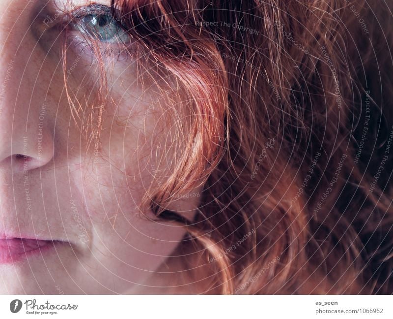 resolute Woman Adults Hair and hairstyles Face Eyes Mouth 1 Human being 30 - 45 years Red-haired Long-haired Curl Think Looking Esthetic Uniqueness Cold Modern