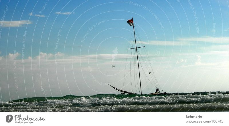 swell Sailing ship Sailboat Watercraft Flag Waves Ocean Indonesia Sulawesi Swell Surf Pirate Exterior shot White Clouds Horizon Asia Blue Freedom Wild animal