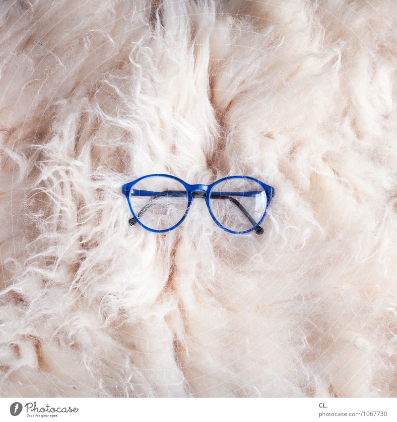blue glasses Eyeglasses Plush Cuddly Soft Blue White Whimsical Colour photo Interior shot Deserted Day Extravagant