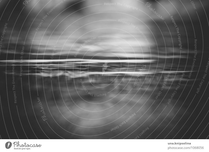 Water Waves Cold Wet Natural Soft Senses Black & white photo Exterior shot Close-up Detail Abstract Structures and shapes Deserted Reflection