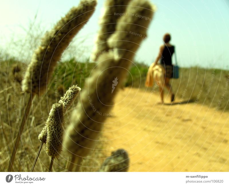 An Andalusian walk Spain Andalucia Southern Europe Embers To go for a walk Hiking Cornfield Field Close-up Vacation & Travel Yellowness Woman Bag Luggage Plant