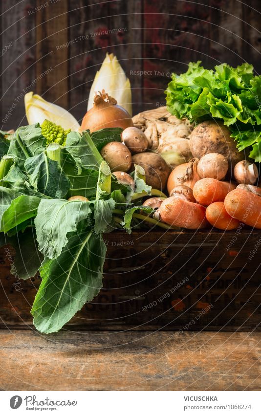 Organic vegetables on an old wooden table Food Vegetable Lettuce Salad Herbs and spices Nutrition Organic produce Vegetarian diet Diet Style Design