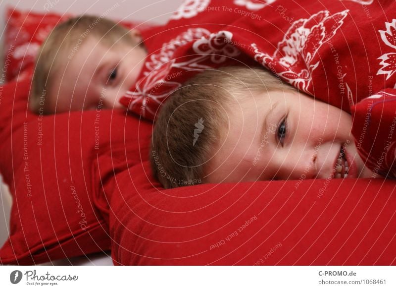 Two boys nestled in bed Human being Masculine Child Toddler Boy (child) Brother Family & Relations Friendship Infancy 2 1 - 3 years 3 - 8 years Bedclothes Duvet