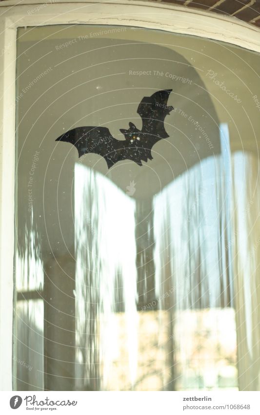 bat Bat Dracula Ghosts & Spectres  Dramatic Dramatic art say Creepy Hallowe'en Frightening Carnival Flying Wing Glass Window Window pane Slice Label Pane Comic