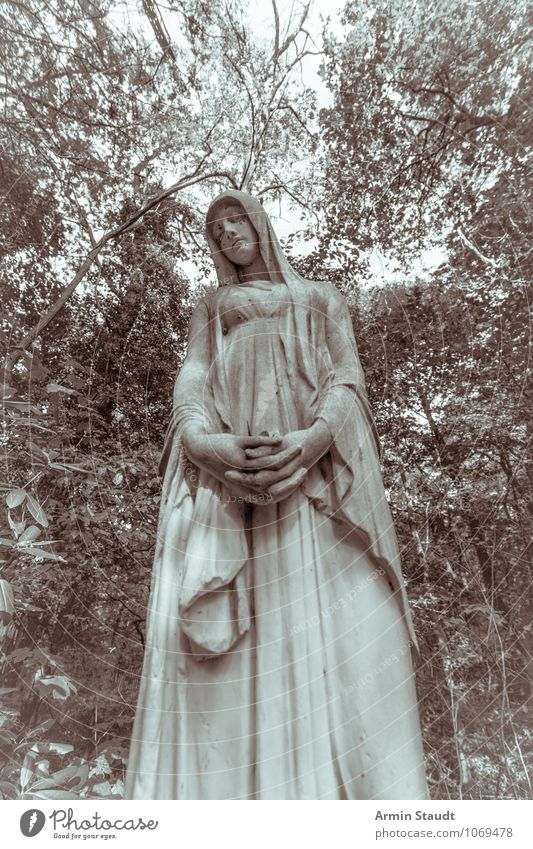 Long Mary Feminine Woman Adults Mother Life Sculpture Sky Forest Sadness Dark Large Cold Kitsch Retro Gloomy Blue Green Emotions Dream Concern Death Virgin Mary
