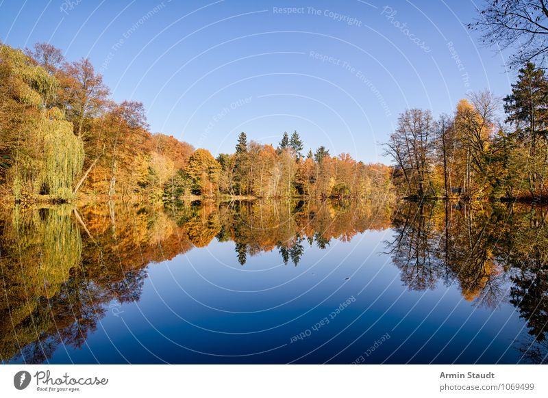 Autumn forest at the lake Life Relaxation Calm Tourism Nature Landscape Sky Horizon Climate Beautiful weather Park Forest Lakeside Fantastic Far-off places