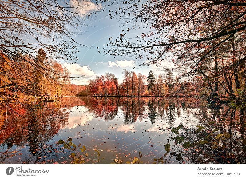 Autumn forest with mirror-smooth lake Life Relaxation Nature Landscape Sky Beautiful weather Park Forest Lakeside Fantastic Natural Joie de vivre (Vitality)