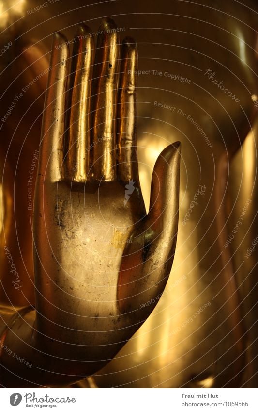 Buddha's golden hand Androgynous Chest Hand Work of art Sculpture Culture Metal Gold Glittering Cold Wisdom Belief Religion and faith Hope Inspiration