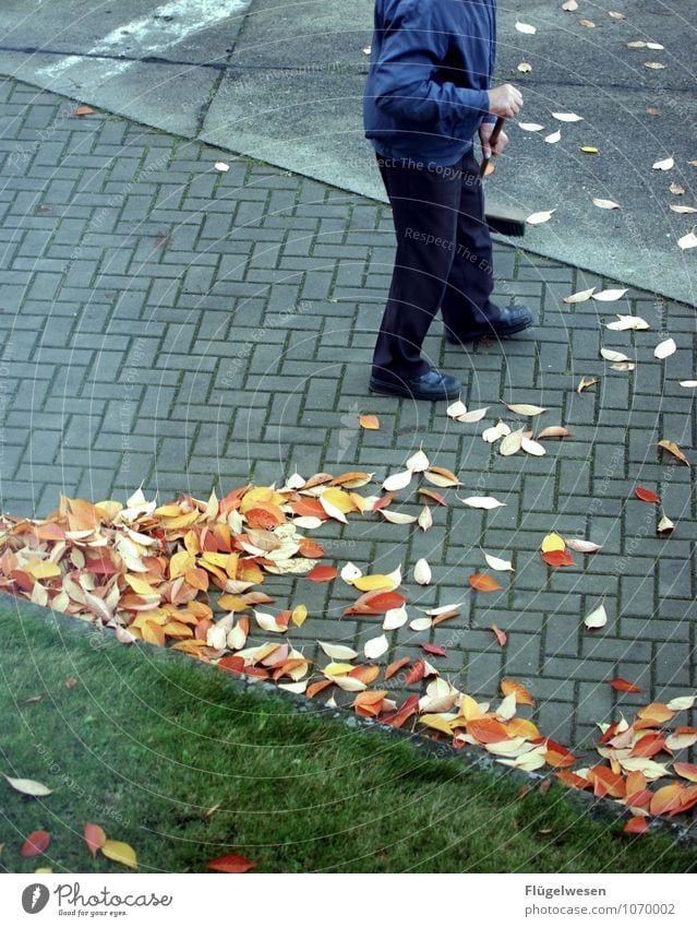 Street sweeper 3 Autumn Fight Autumnal Autumn leaves Autumnal colours Early fall Automn wood Autumnal weather Autumnal landscape Sweep Broom Broomstick Leaf
