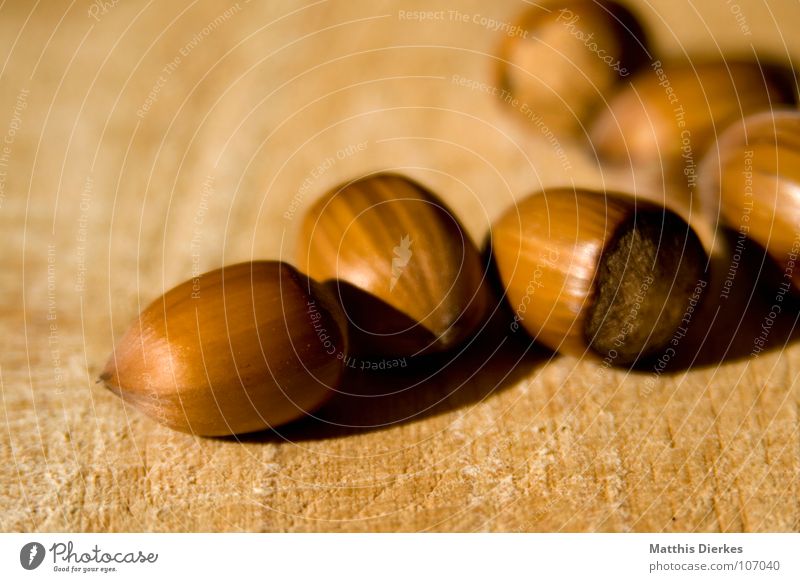 hazelnuts Hazelnut Macro (Extreme close-up)