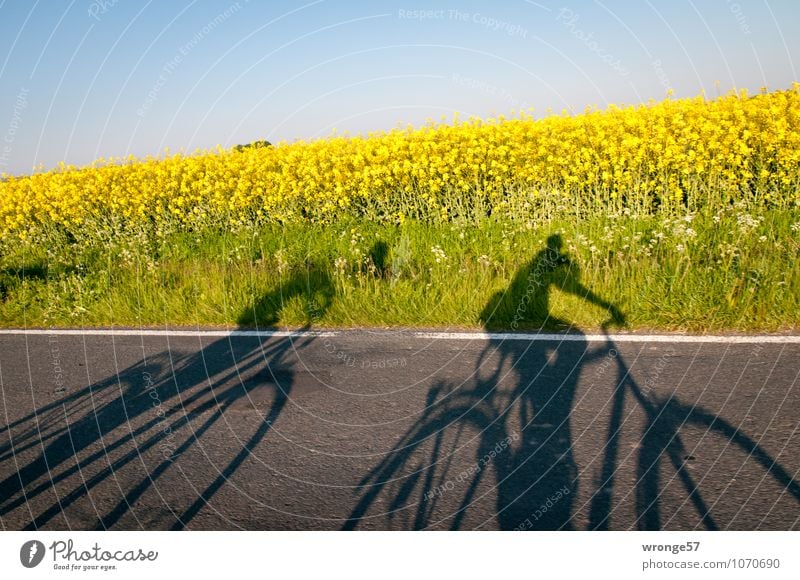 ghost drivers Trip Cycling tour Summer Human being Couple 2 Nature Plant Sky Cloudless sky Beautiful weather Blossom Agricultural crop Canola field