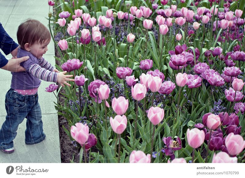 Favorite color purple Child Toddler Girl Infancy Body Head Face Arm Hand Fingers 1 Human being 0 - 12 months Baby 1 - 3 years Landscape Plant Spring