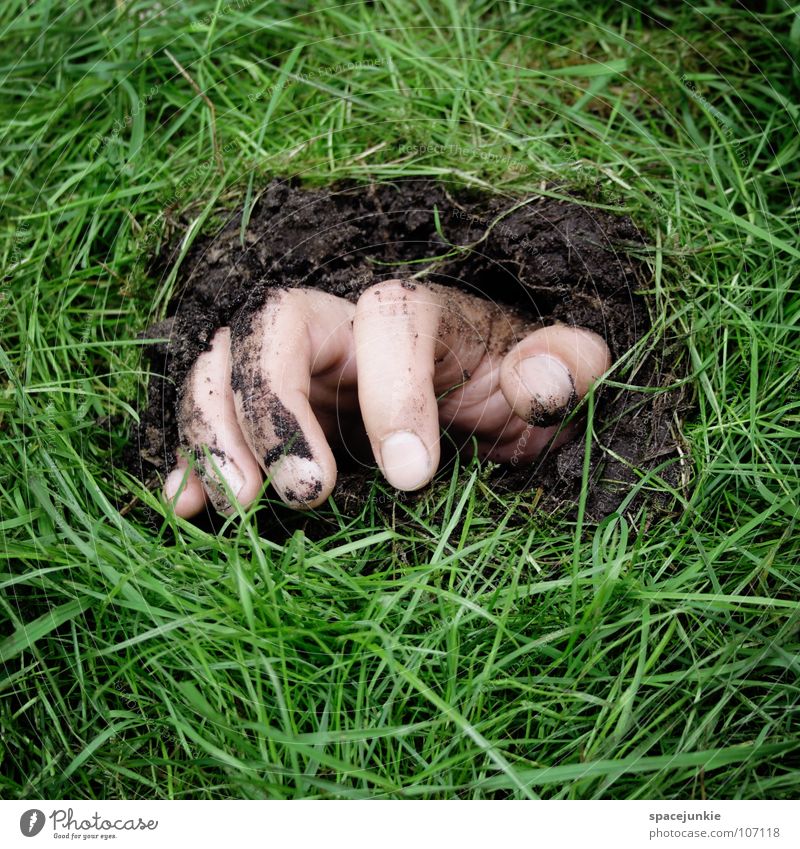 mole Hand Dig Whimsical Underground Outbreak Drift Joy Earth Lawn Bottle Garden