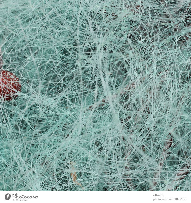 synapses Fishing net Rope Plastic Gray Red Turquoise Movement Bizarre Complex Creativity Muddled Colour photo Exterior shot Close-up Structures and shapes