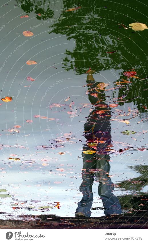 victory Colour photo Copy Space left Silhouette Reflection Blur Joy Contentment Freedom Waves Success Human being 1 Water Autumn Leaf Pond Think Stand Wet