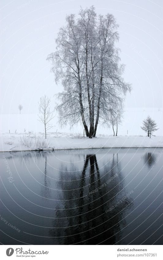 Christmas card 3 Rural Country life Winter Black Forest White Deep snow Vacation & Travel Jinxed Background picture Snowscape Horizon Loneliness Lake Pond