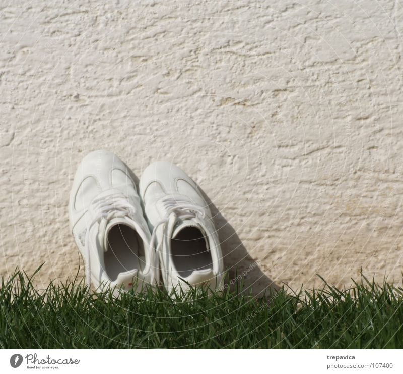 white-green Footwear White Grass Green Wall (building) Sneakers Dry Empty Summer Break Laundered Flower Meadow Clothing Playing Floor covering Feet Loneliness