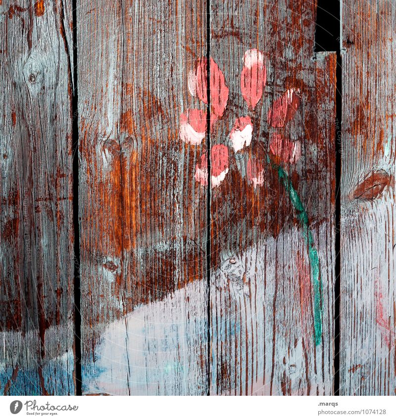 Yours sincerely Flower Wood Old Longing Hope Change Dye Painted Spring Salutation Congratulations Colour photo Exterior shot Close-up Structures and shapes