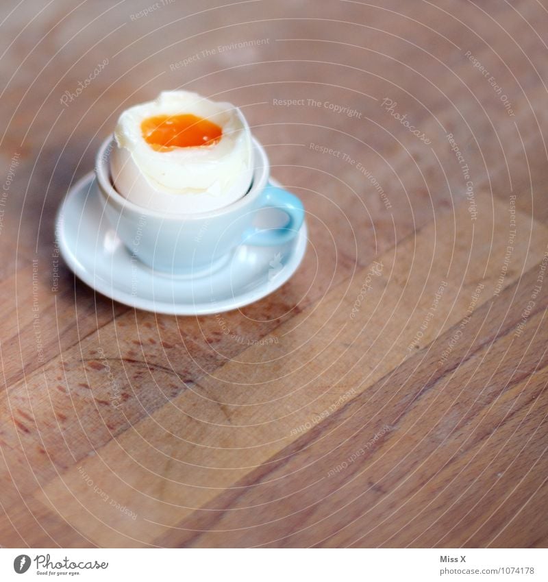 Egg Egg Egg Food Nutrition Eating Breakfast Organic produce Cup Healthy Eating Delicious Yellow Appetite Hen's egg Egg cup Cooking Breakfast table Morning break