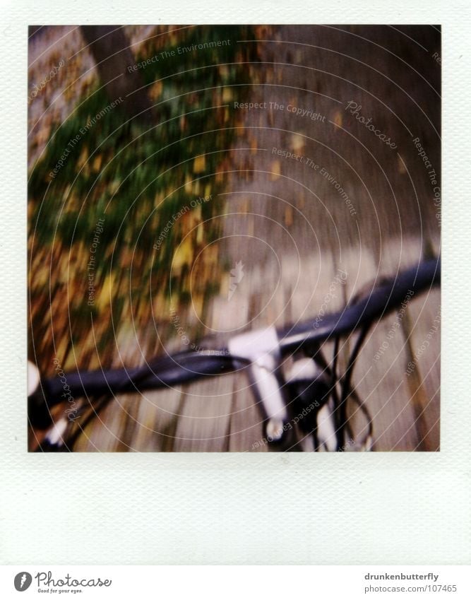 before falling... Bicycle Black Driving Leaf Grass Tree Autumn Yellow Green Brown Bicycle handlebars Brakes Metal Silver Cobblestones Lanes & trails Street