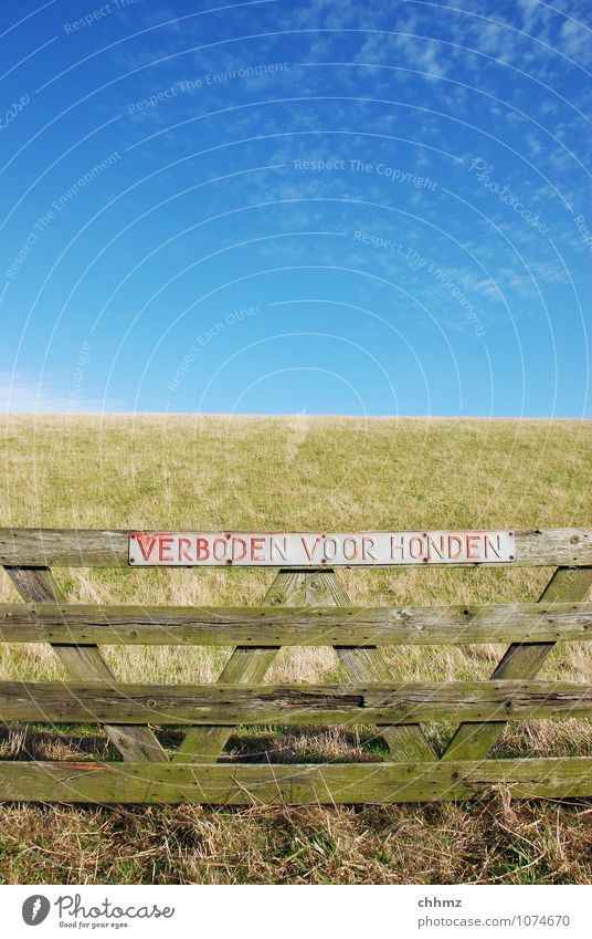 THE GROUND FOR HONDEN Summer Coast North Sea Dam Dike Wood Blue Green Fence Barrier Bans Dog Sky Grassland Meadow Netherlands Signs and labeling Signage