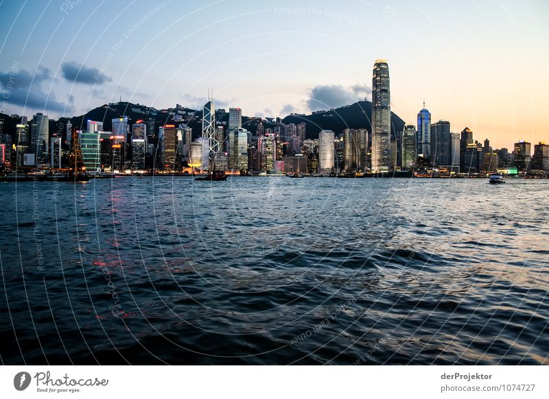 Blue hour in Hong Kong with skyline Vacation & Travel Tourism Trip Adventure Sightseeing City trip Environment Summer Beautiful weather Capital city Port City