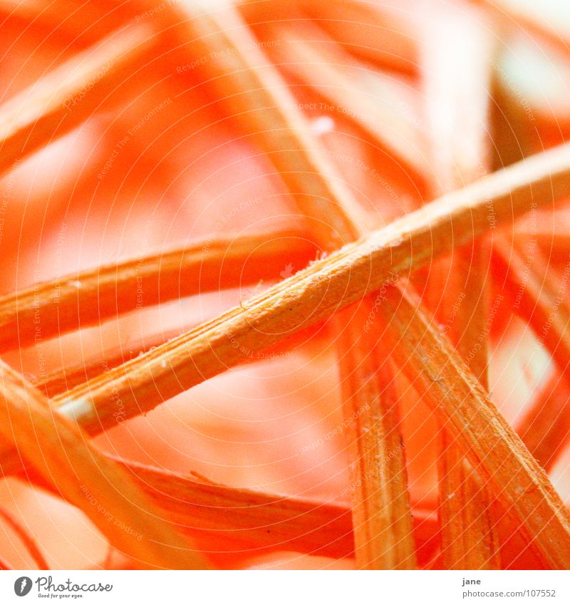 Coarse mesh Basket Integration Maze Cramped Reticular Concentrate Macro (Extreme close-up) Close-up Orange find one's way no beginning no end