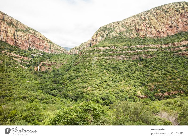 Olifants River South Africa Tree Green Waterfall Canyon Rock Forest Colour photo Subdued colour Deserted Copy Space bottom Day Panorama (View) Wide angle