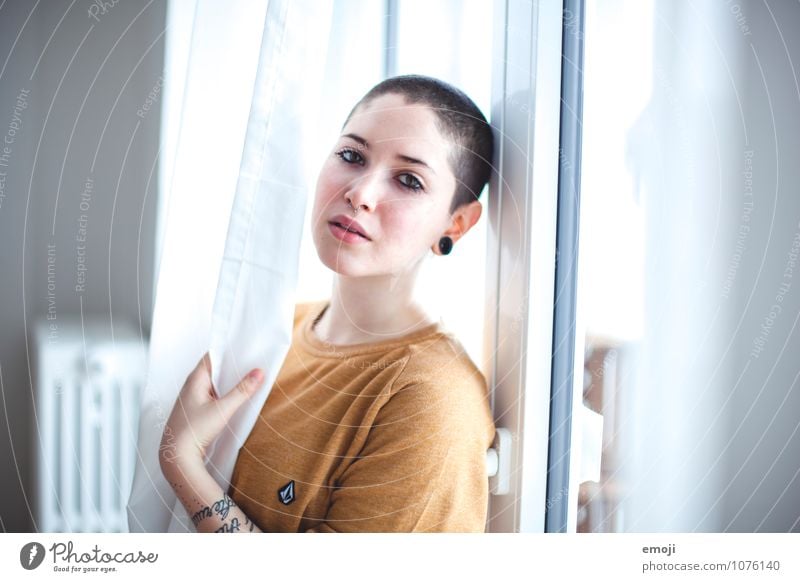 SHE Feminine Androgynous Young woman Youth (Young adults) 1 Human being 18 - 30 years Adults Short-haired Bald or shaved head Beautiful Uniqueness Colour photo